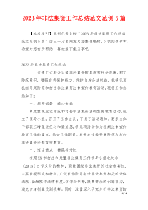 2023年非法集资工作总结范文范例5篇