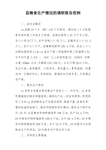 县粮食生产情况的调研报告范例