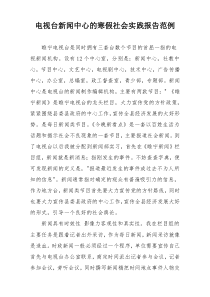电视台新闻中心的寒假社会实践报告范例