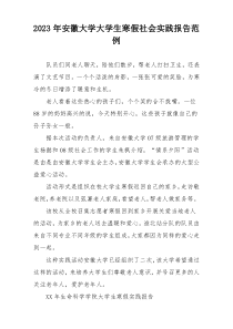 2023年安徽大学大学生寒假社会实践报告范例