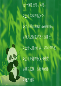 会计核算原理与方法(ppt92)