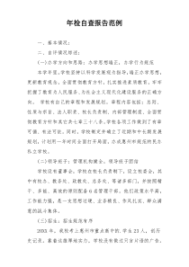 年检自查报告范例