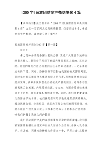 [300字]民族团结发声亮剑集聚4篇