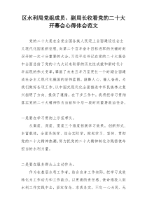 区水利局党组成员、副局长收看党的二十大开幕会心得体会范文