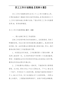 员工工作计划推选【范例5篇】