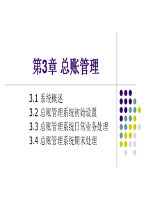 会计电算化总账管理