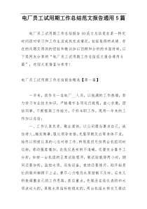 电厂员工试用期工作总结范文报告通用5篇