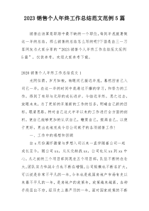 2023销售个人年终工作总结范文范例5篇