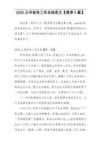 2023公司宣传工作总结范文【推荐5篇】