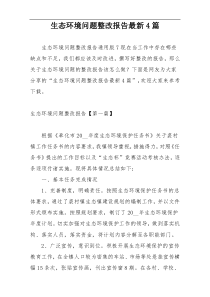 生态环境问题整改报告最新4篇