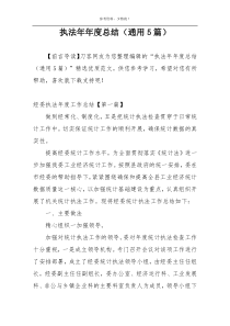 执法年年度总结（通用5篇）