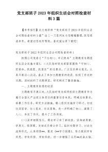 党支部班子2023年组织生活会对照检查材料3篇