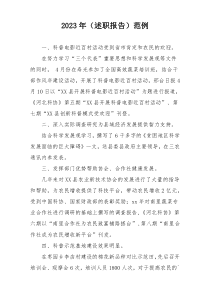 2023年（述职报告）范例