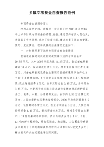 乡镇专项资金自查报告范例