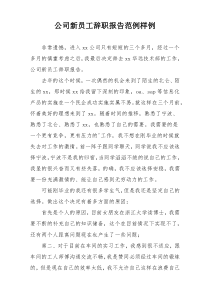公司新员工辞职报告范例样例