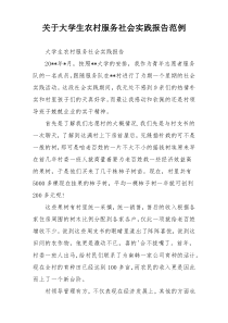 关于大学生农村服务社会实践报告范例