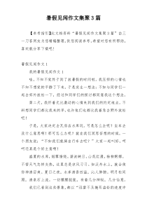 暑假见闻作文集聚3篇