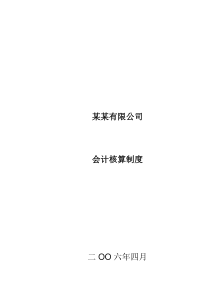 公司会计实际核算制度非常实用