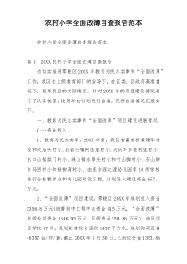 农村小学全面改薄自查报告范本