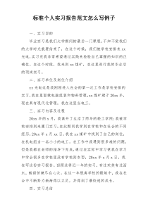 标准个人实习报告范文怎么写例子