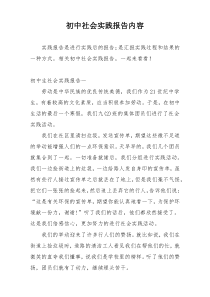 初中社会实践报告内容