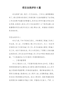 项目自我评价5篇