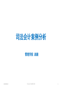 司法会计案例分析XXXX3