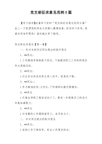 党支部征求意见范例5篇