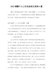 2023辅警个人工作总结范文范例4篇