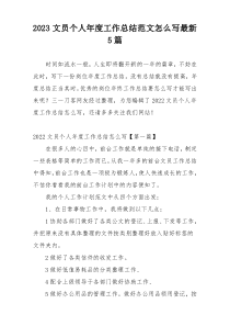 2023文员个人年度工作总结范文怎么写最新5篇