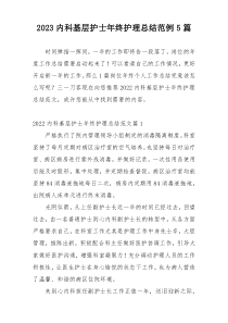 2023内科基层护士年终护理总结范例5篇