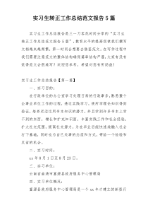 实习生转正工作总结范文报告5篇