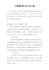 IT管理年度工作计划5篇