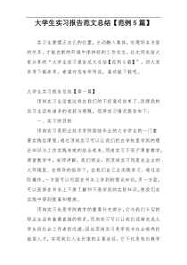 大学生实习报告范文总结【范例5篇】