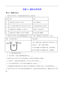专题 10 燃料及其利用-2020年中考真题化学分项汇编（原卷版）