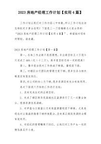 2023房地产经理工作计划【实用4篇】