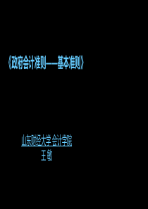 政府会计基本准则