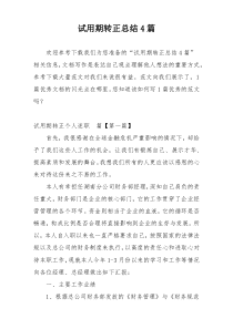 试用期转正总结4篇