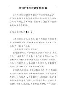 公司的工作计划实例20篇