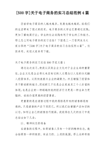 [500字]关于电子商务的实习总结范例4篇