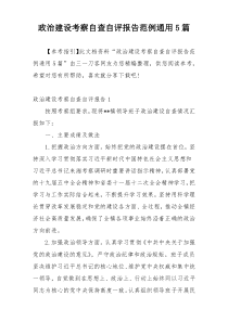 政治建设考察自查自评报告范例通用5篇