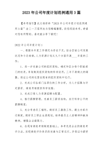 2023年公司年度计划范例通用3篇