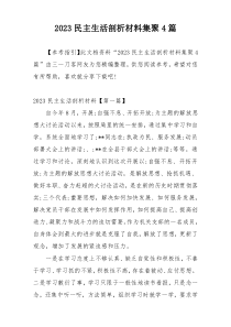 2023民主生活剖析材料集聚4篇