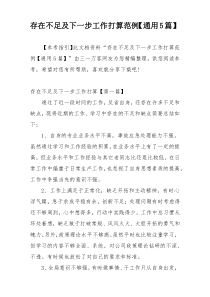 存在不足及下一步工作打算范例【通用5篇】