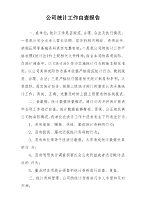 公司统计工作自查报告