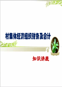 村集体经济组织财务及会计知识讲座