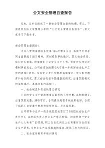 公文安全管理自查报告