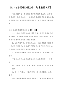 2023年总经理助理工作计划【最新5篇】