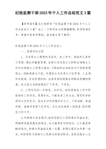 纪检监察干部2023年个人工作总结范文3篇