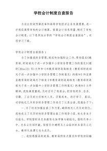 学校会计制度自查报告
